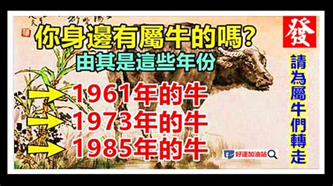 1973生肖牛|【1973牛】揭開1973年牛寶寶的五行之謎！屬牛人生運勢大公開